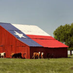 FLESH-EATING Parasite Army 70 Miles From Texas… Red barn with Texas flag roof, cows, and trees.