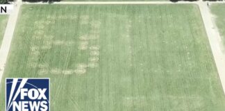 '86 47' VANDALIZED on grass at National Mall