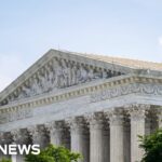 Trump Can’t Escape This 127-Year-Old Decision Crowds outside Supreme Court cheer at birthright citizenship decision