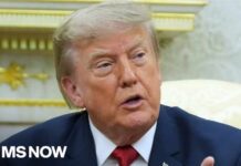 Stolen Election? See What The Intel Says Why Trump’s primetime speech is a THREAT to 2026 midterms