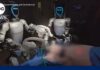 Robot Surgeons Cut Live Pigs Humanoid robots perform surgery