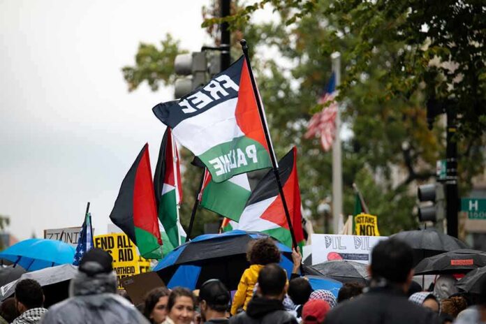 shutterstock_2375367223 Crowd at a rainy street protest with Palestinian flags and umbrellas