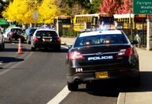 Police cars and school buses on a sunny street.