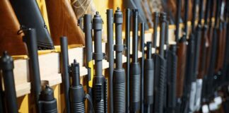 Rows of shotguns displayed on a wooden rack.