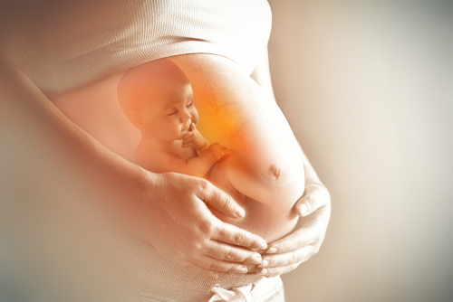 Pregnant woman with illustrated baby inside womb.