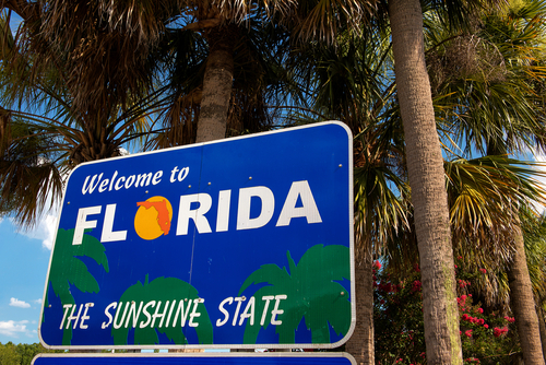 Welcome to Florida sign with palm trees background.